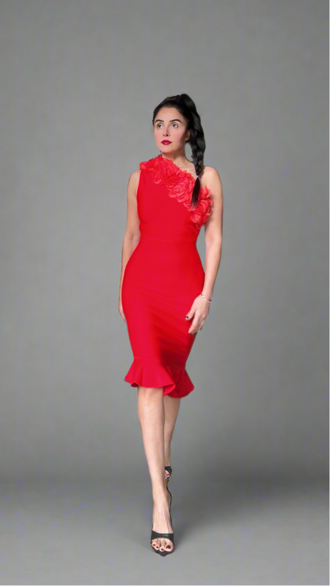 Red Stretch Dress with Hand-Sewn Petal Details on the Bodice